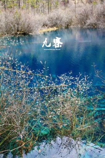 一颗小籽18万！籽料带翠，还会更贵？