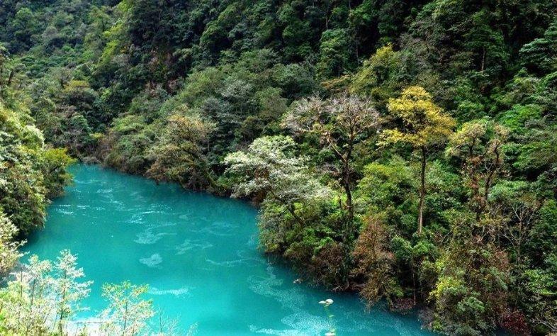 小僵尸射飞鸟