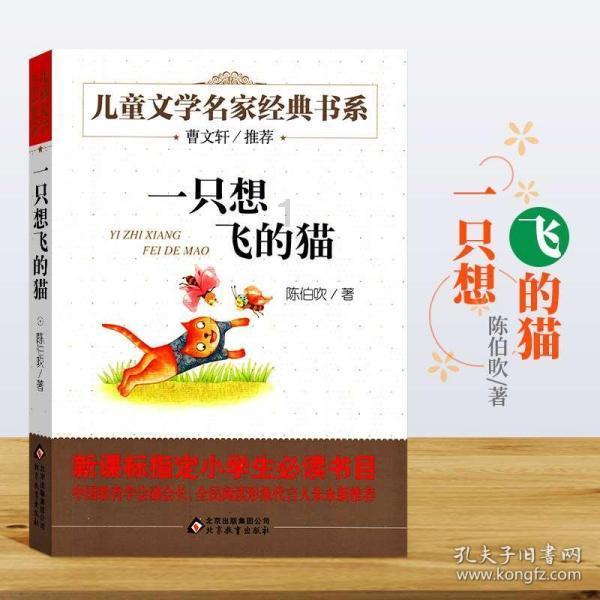 怦然星动